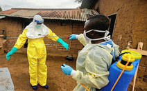 Bộ Y tế hỏa tốc yêu cầu phòng chống bệnh do vi rút Ebola, theo dõi người về từ vùng dịch