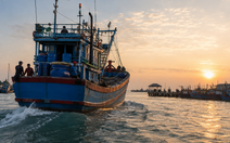 Tàu cá ra khơi nhưng không đánh bắt, đợi đủ ngày về nhận tiền dầu: Cục Thủy sản và Kiểm ngư vào cuộc