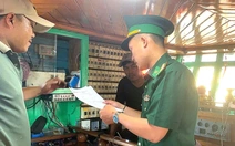Tàu cá mất kết nối giám sát hành trình quá 6 giờ, 2 thuyền trưởng bị tước chứng chỉ