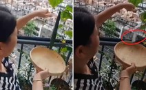 Sau 3 tháng chăm sóc cuối cùng cũng được gặt hái thành quả