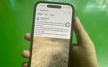 Công an điều tra vụ thóc của gia đình nông dân nghi bị đổ thuốc diệt chuột