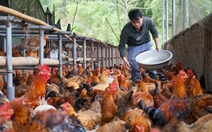 Trao vốn không lãi suất cho 40 hộ nông dân ở Thái Nguyên