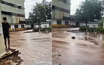 Sét đánh trúng nhà máy đường, hàng ngàn tấn mật tràn ra ngoài