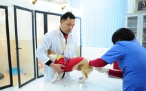 Đề nghị không bãi bỏ điều kiện kinh doanh dịch vụ xét nghiệm, tiêm phòng, chữa bệnh động vật