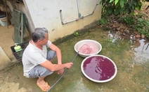 Vụ nước giếng đổi màu tím ở Thanh Hóa: Nhiều mẫu nước có chỉ tiêu không đạt