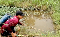 Đề xuất xử lý hình sự hành vi dùng kích điện đánh bắt kiểu 'tận diệt'