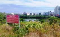 Cây mọc trái thiết kế, cản thoát lũ ở Nha Trang: Tiếp tục xin ý kiến để xử lý