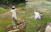Cô gái 'vồ ếch' khi đi rừng Cúc Phương săn bướm