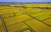 Nông nghiệp Việt Nam trước ngã rẽ mới