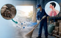 Chuyên gia cảnh báo vi rút Hanta dễ nhầm lẫn với bệnh cúm