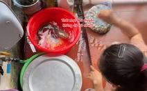 Con cá nổi quạu khi biết mình sắp bị vào nồi