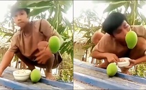 Chàng trai ngã dập mông khi ngồi trên mái tôn live stream cảnh ăn xoài