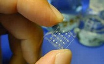 Singapore chế tạo chip phát hiện bệnh lây qua đường hô hấp