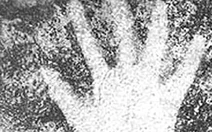 Người thuận... tay trái có từ kỷ Băng hà