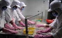 Mỹ nhập khẩu tôm trong tháng 2 tăng gần 100%