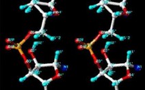 Sử dụng kỹ thuật RNA để chữa bệnh ung thư vú