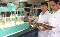 Sông "dơ" hơn, giá nước sinh hoạt càng cao?