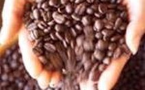 VN - Indonesia sẽ cùng marketing cho cà phê Robusta