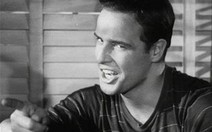 "Nổi loạn vô cớ" với "Bố già" Marlon Brando