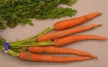 Không nên lạm dụng cà rốt
