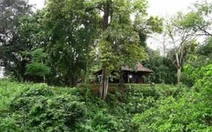 Một khu di tích bị bỏ quên