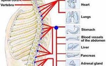 Vôi hóa cột sống