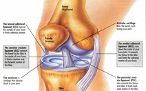 Sưng phù đầu gối ở người lớn tuổi