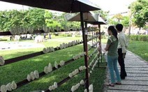 Festival Huế: tác phẩm nghệ thuật lại bị phá hoại