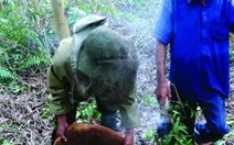 Về miệt thứ U Minh