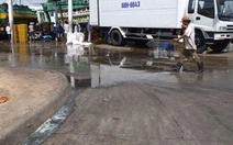 Khu cảng cá Tắc Cậu (Kiên Giang): Môi trường bị ô nhiễm nghiêm trọng