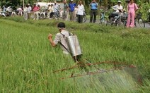 Một nông dân sáng chế giàn phun thuốc diệt rầy nâu