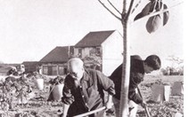 Lời Bác dặn cho mai sau