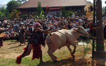 Lễ hội đâm trâu ở A Lưới