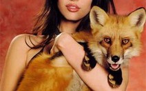 Megan Fox "tiến lên" căng Robot đại chiến