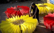 Sắc màu Đông Hồ