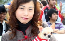 Lễ hội thú cưng