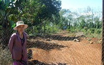 Vụ "chó bécgiê cắn chết người": Chủ trang trại chi 120 triệu đồng