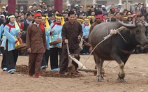 Chủ tịch nước cày ruộng khai hội tịch điền Đọi Sơn 2010