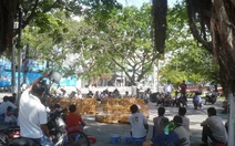 Tiếng chim chào mào ở phố biển