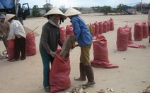 Xuất khẩu khoai mì lát... trộn cát?