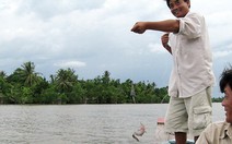 Về sông câu cá