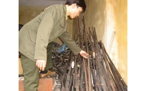 Dân giao nộp gần 8.200 khẩu súng săn các loại
