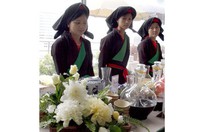 Lễ hội ẩm thực chay vì môi trường