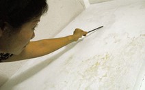 Khi căn hộ cao cấp xuống cấp