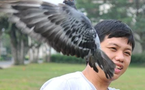 Đua bồ câu vì hòa bình