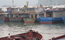 Nhiều sai phạm tại Tập đoàn Than - khoáng sản VN