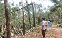 Lốc xoáy kèm mưa đá gây hại nhiều nơi