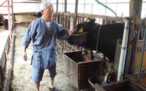 Mối lo thịt bò Nhật nhiễm xạ