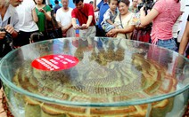 Trung Quốc đánh thuế bánh trung thu