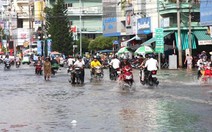 ĐBSCL: lũ và triều cường gây ngập lúa, ngập đường
